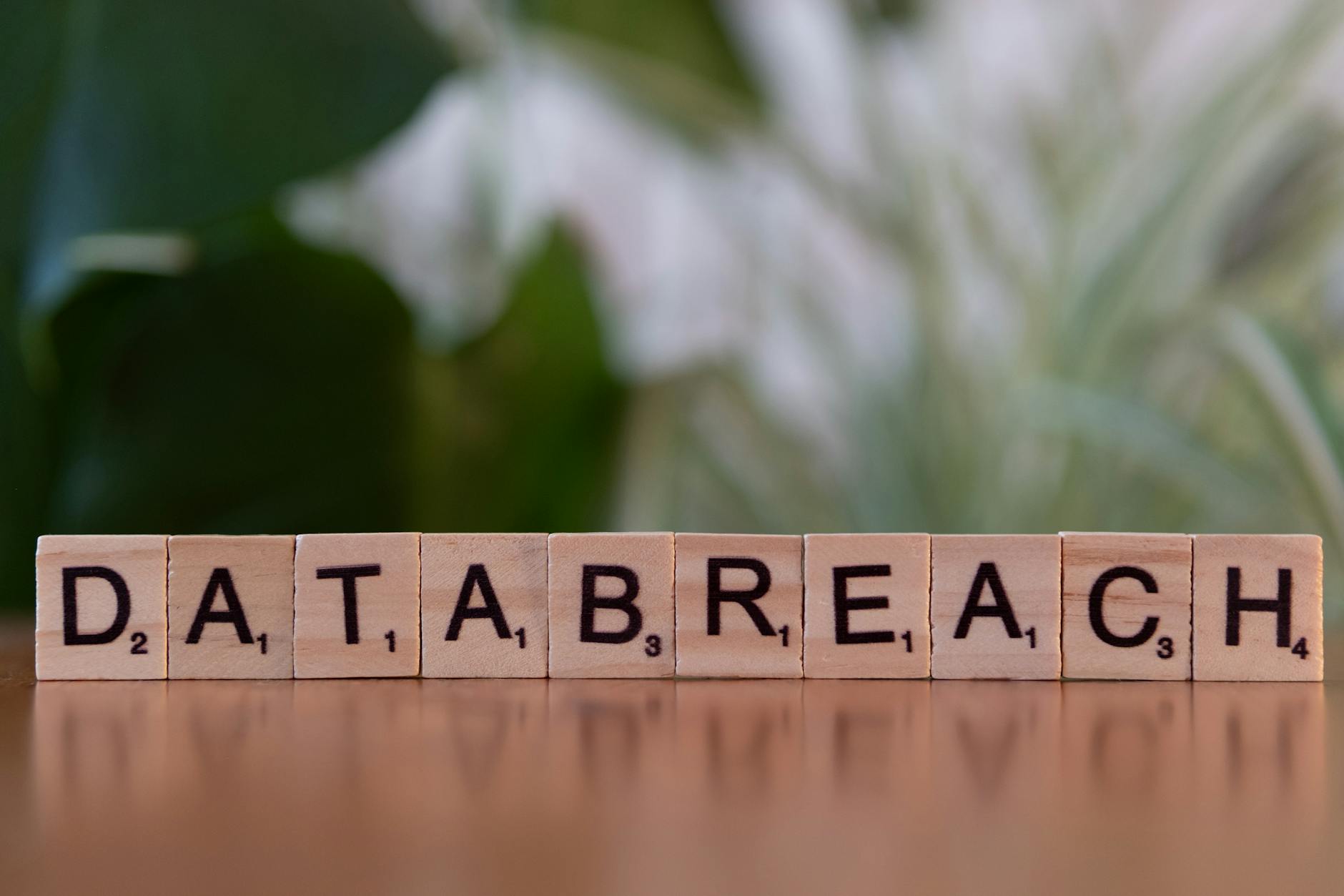 Kamyki Scrabble układające się w napis data breach na rozmazanym tle