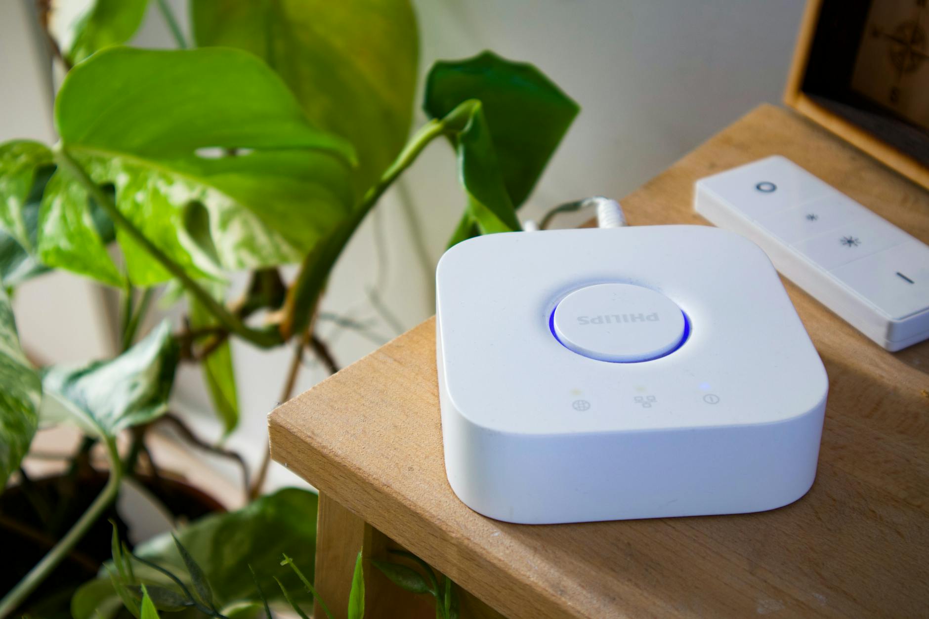 Hub Philips do automatyki domowej obok rośliny w nowoczesnym wnętrzu